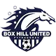 Box Hill United (f)