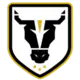 Bulls FC Academy U-23 (f)