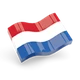 Netherlands (Virtual)